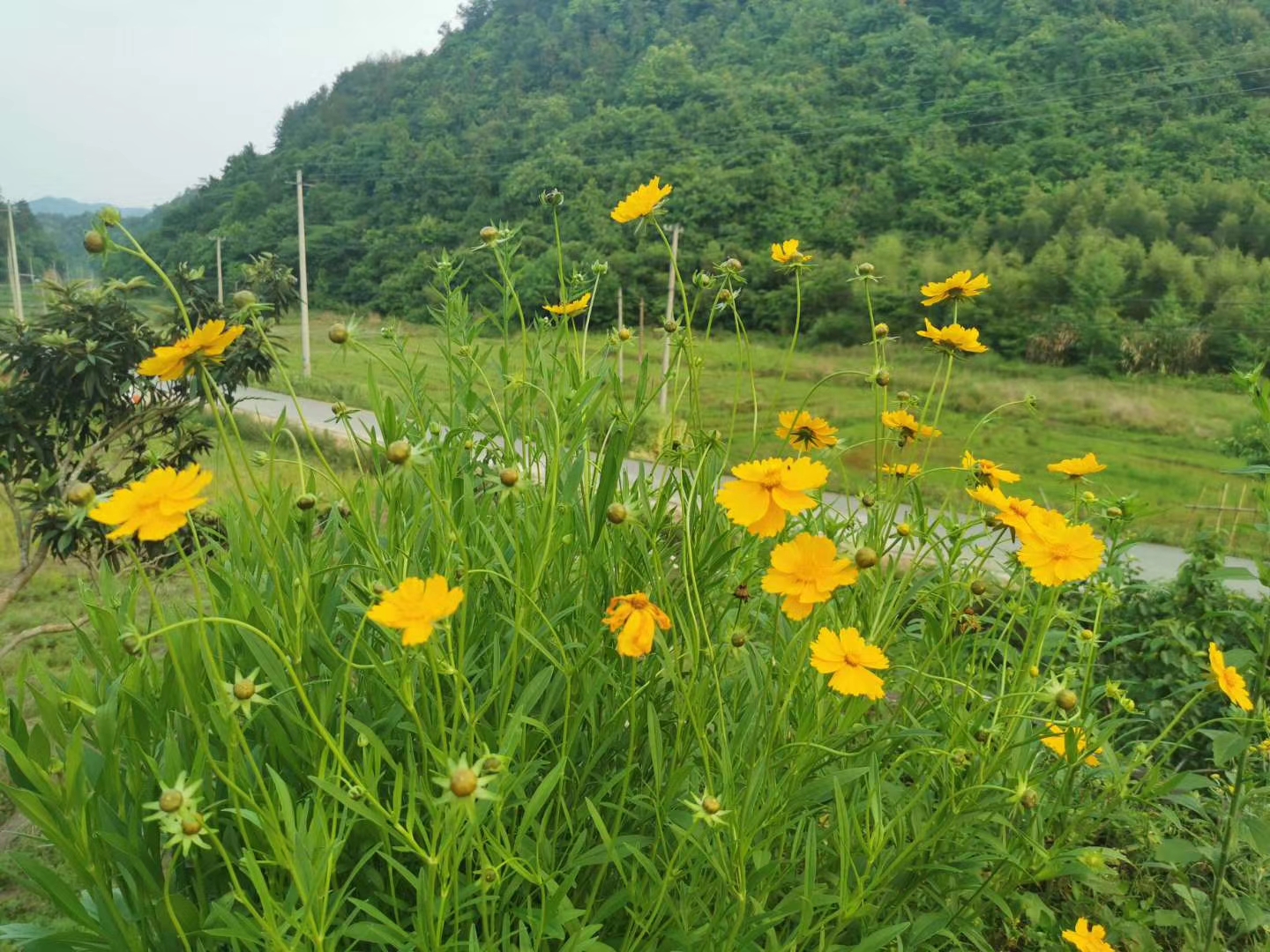 让生活变得有趣起来—参观生态农场的原始美