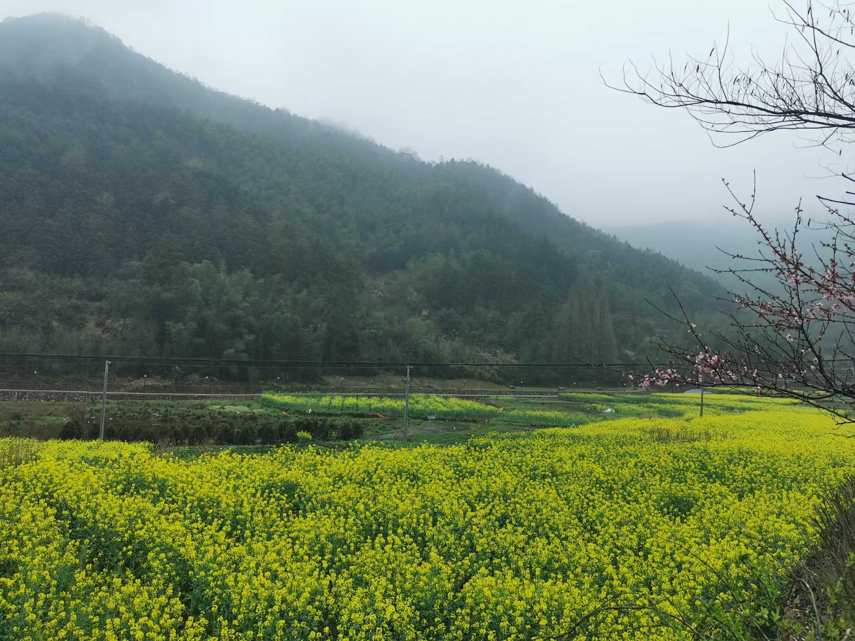 太阳公社-旅游观光度假